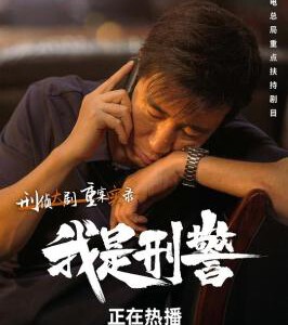 V1110-1111我是刑警 2碟装 2024年全新重案实录刑侦大剧