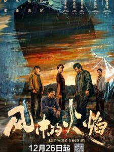 X1104-1106风中的火焰 3碟装 2024年张荣吉执导的刑侦悬疑剧