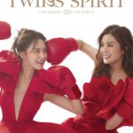 H1414-1415 BD50 Twin组合成团22周年演唱会 2碟