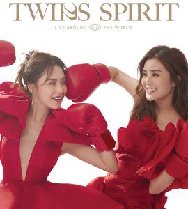 H1414-1415 BD50 Twin组合成团22周年演唱会 2碟