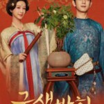 X1190-1192国色芳华 3碟装 2025年高分热门古装剧