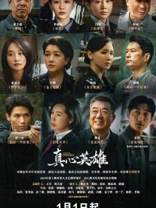 Y1026-1029真心英雄 4碟装 2025年众星云集政法题材大剧