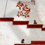 Y1177-1178布达拉宫 第一季 2碟装 2024