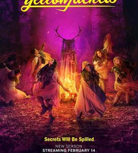 Y1186-1187黄蜂 第3季 2碟装 2025