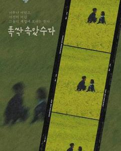 Y1189-1191苦尽柑来遇见你 3碟装 2025年奈飞最新推出韩国爱情历史剧集大作