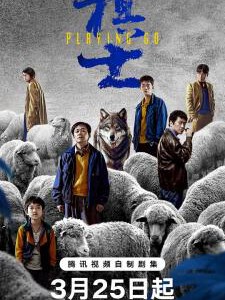 Y1194-1195棋士 2碟装 2025年中国最新上映悬疑犯罪剧集大作