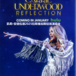 Y1215凯莉·安德伍德2025拉斯维加斯驻场演唱会