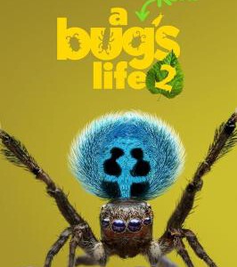 Y1233虫虫历险记 第二季 2025纪录片 豆瓣9.0