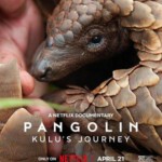 Y1234穿山甲Kulu的旅程 2025年英国上映评分最高的纪录片