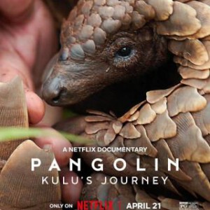 Y1234穿山甲Kulu的旅程 2025年英国上映评分最高的纪录片