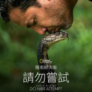 Y1235-1236大卫·布雷恩：请勿尝试 2碟装 2025年美国上映纪录片
