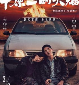 Y1248平原上的火焰 2025国产犯罪悬疑大作