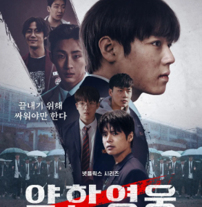 Y1252-1253弱小英雄 第二季 2碟装 2025