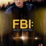 Y1300-1301联邦调查局：通缉要犯 第3季 2碟 FBI: Most Wanted Season 3 (2021)