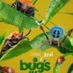 Y1315虫虫历险记/真实虫虫危机 第一季（2024）带国配 高清版