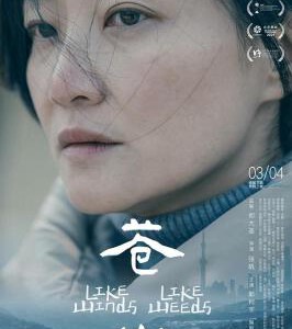 Y1316苍山 (2023) 高清版 豆瓣6.8