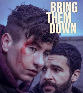 Y1411打倒他们 正式版 2025年爱尔兰上映惊悚片