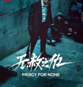 Y1420-1421无赦之仇 2碟装 2025Netflix最新上映的韩国暗黑动作剧集