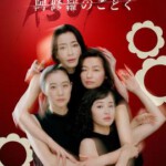 Y1445-1446宛如阿修罗 2碟装 2025网飞出品是枝裕和自编自导最新日剧