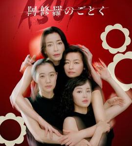 Y1445-1446宛如阿修罗 2碟装 2025网飞出品是枝裕和自编自导最新日剧