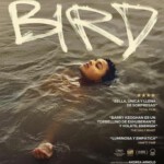 Y1549鸟/迷上鸟 Bird (2024)豆瓣7.5