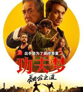 Y1588功夫梦:融合之道/功夫梦2 (2025) 高清版 豆瓣5.9