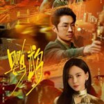 X1335-1337鹦鹉 3碟装 2025年最新黑帮题材剧集