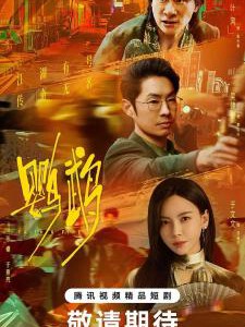 X1335-1337鹦鹉 3碟装 2025年最新黑帮题材剧集