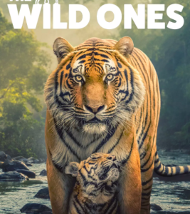 X1353-1354野性生灵 2碟装 2025年英国最新上映纪录片