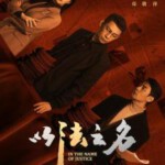 X1355-1357以法之名 3碟装 2025年央视最新高分热门口碑检察侦查剧