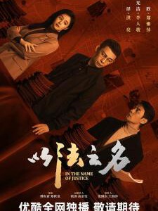 X1355-1357以法之名 3碟装 2025年央视最新高分热门口碑检察侦查剧