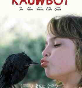 X1594乌鸦男孩/寒鸦情深 Kauwboy (2012) 豆瓣7.5