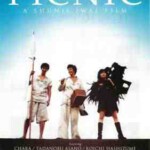 W1310梦旅人 PicNic (1996) 日本 豆瓣8.3