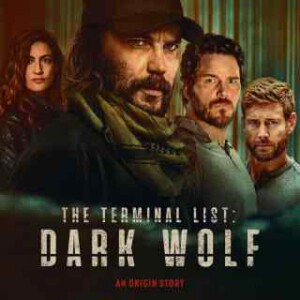 W1386-1387终极名单：黑狼 2碟装 2025年最新高分口碑动作惊悚剧