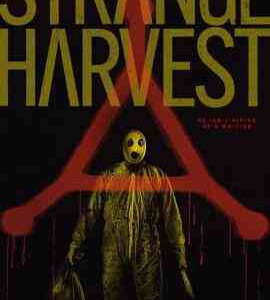 W1439怪奇收割：超自然谋杀 2024年美国上映恐怖片 豆瓣7.3