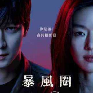 W1448-1449暴风圈 2碟装 2025年韩国全智贤上映动作悬疑剧集片