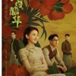 W1453-1456灼灼韶华(2025)4碟 高清版 豆瓣5.8