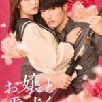 W1493大小姐和看门犬 (2025) 日本 正式版