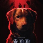 W1537好狗狗 2025年美国上映惊悚恐怖片