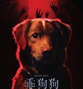 W1537好狗狗 2025年美国上映惊悚恐怖片