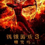 A3-62 4K-UHD 饥饿游戏3 下部 2015 豆瓣6.2 带静音 带国配 (2015)